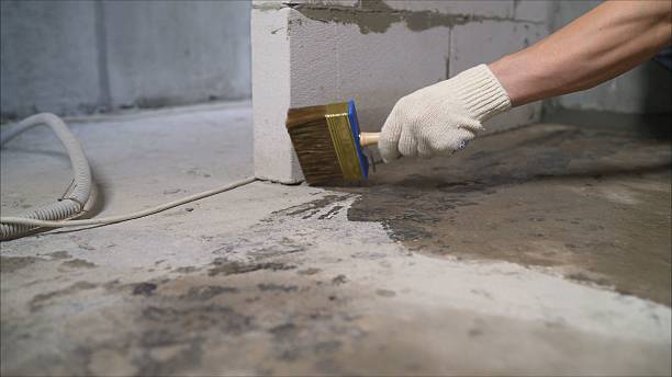 24/7 Emergency Wet Basement Repair experts in Dresden, TN